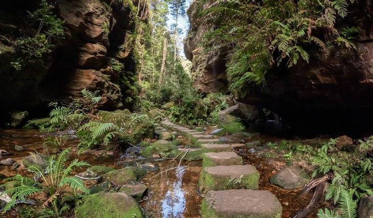 This 6km trail near Sydney is at its prettiest in winter – with waterfalls, rainforest, and incredible canyon views