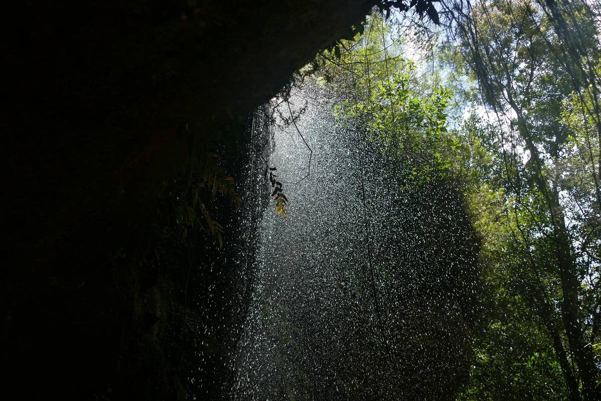 A waterfall cascading over moss-covered rocks in a lush canyon, with sunlight filtering through the trees on the Grand Canyon Track in the Blue Mountains, NSW