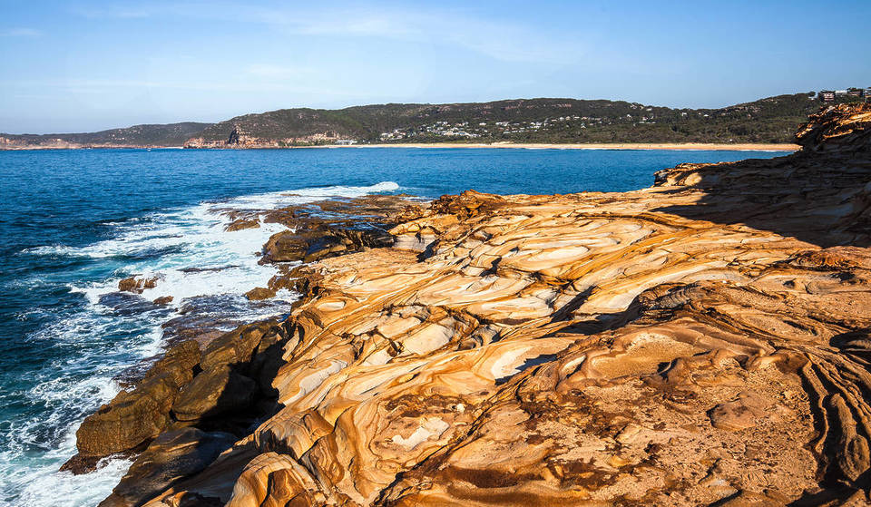 Just 90 Minutes From Sydney – An 8km Coastal Trail With Spring Wildflowers, Whales And Stunning Views