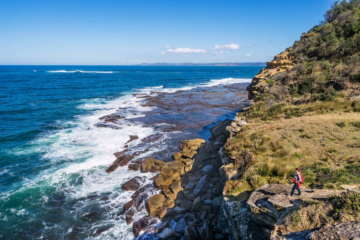A person walking along the rocky shoreline of the Bouddi Coastal Walk, with the sparkling ocean and rolling hills in the background