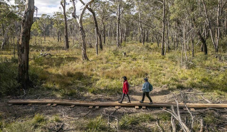 A New 6km Trail Has Just Opened In NSW – With Hidden Creeks And Stunning Clifftop Views