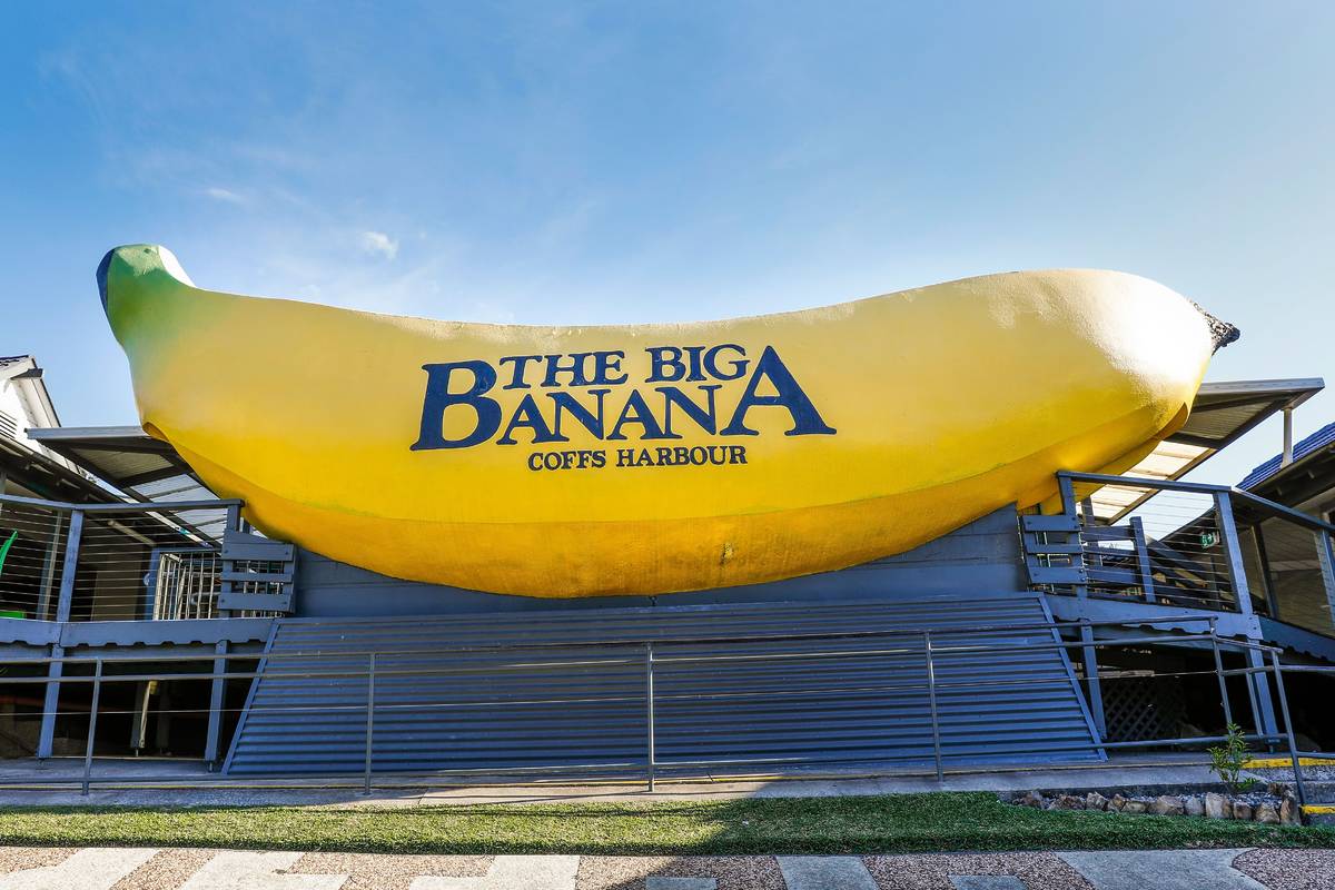 The iconic Big Banana in Coffs Harbour, a large yellow banana sculpture, standing proudly against a clear blue sky