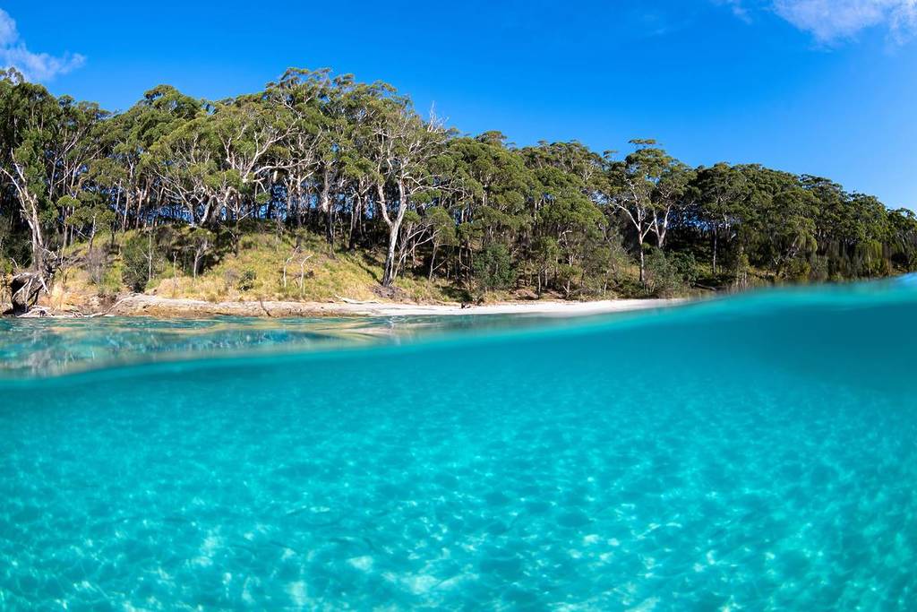 Crystal-clear turquoise water at Booderee National Park in Jervis Bay, with white sand and dense coastal bushland under a bright blue sky