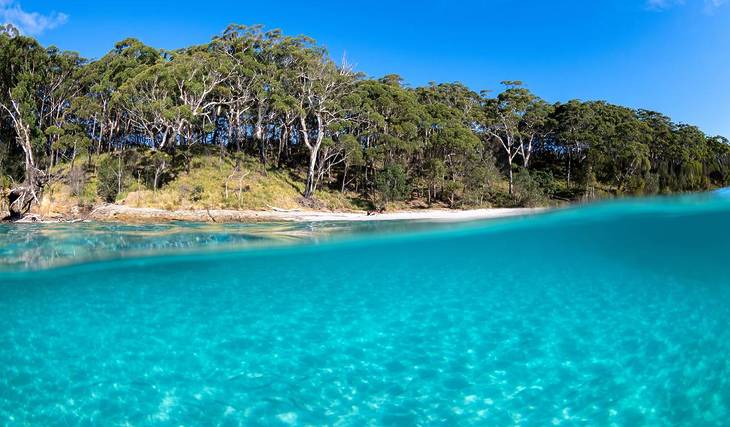 This 90-minute coastal walk in NSW winds past five white sand beaches and Caribbean-blue waters