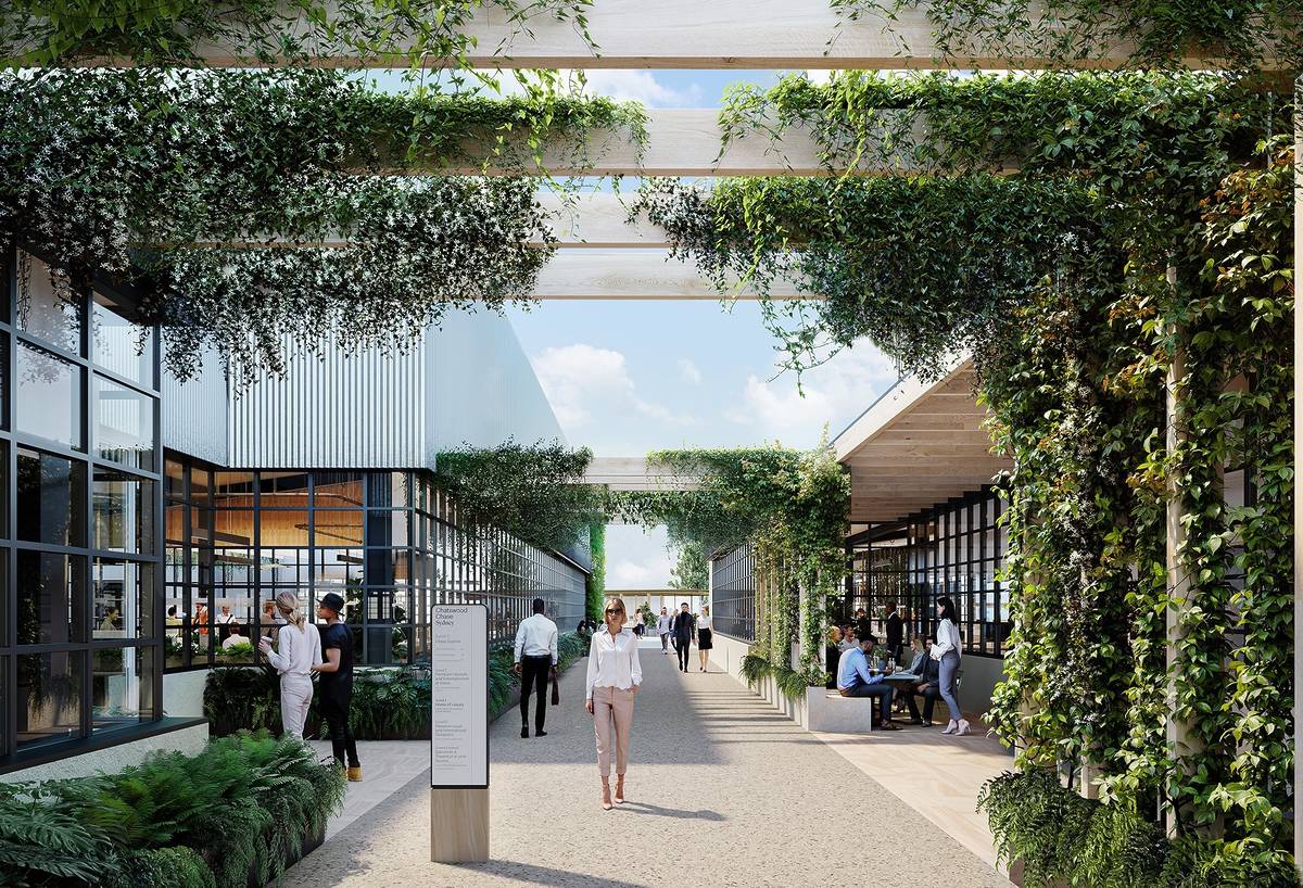 Greenery-lined outdoor laneway at Chatswood Chase with people walking, dining and shopping beneath wooden beams and hanging plants