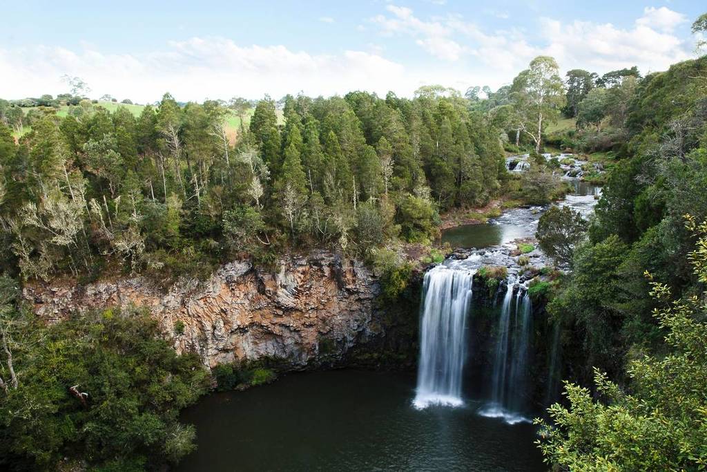 Dangar Falls on the Waterfall Way, NSW, with water cascading into a serene pool surrounded by lush rainforest and vibrant greenery