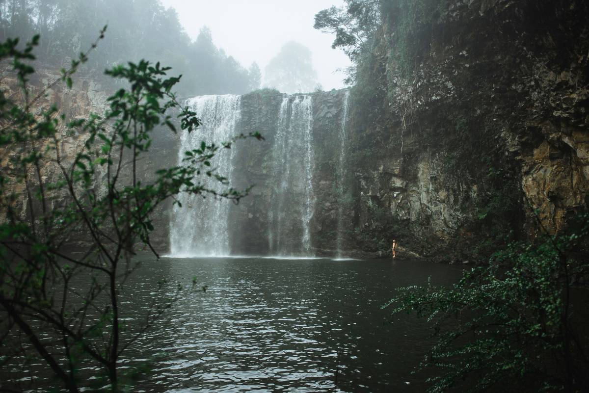A car driving along the scenic Waterfall Way, NSW, surrounded by dense forest