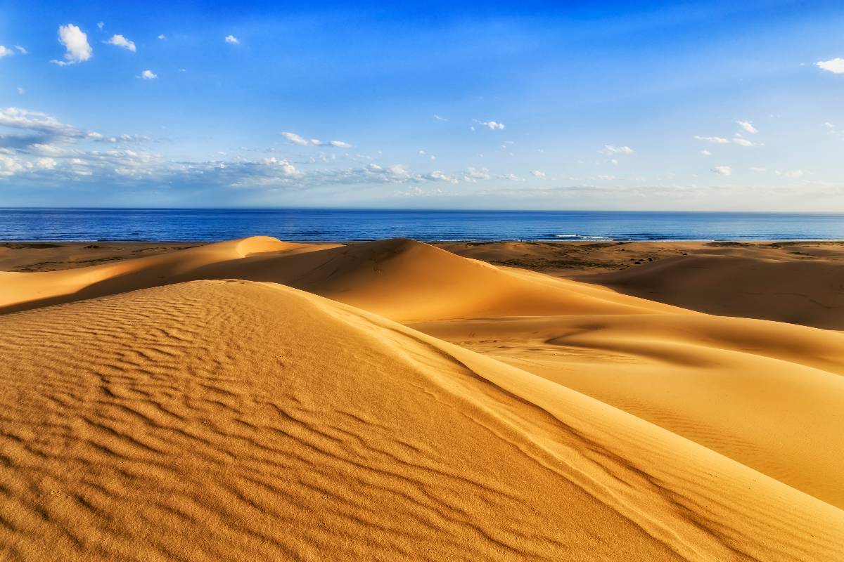Stockton Sand Dunes and the sea at Stockton Beach