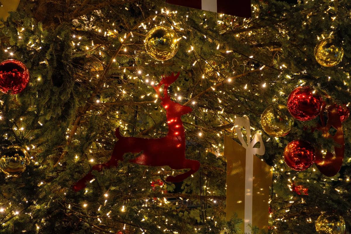 A close up of a Christmas tree lit up with decorations of a reindeer
