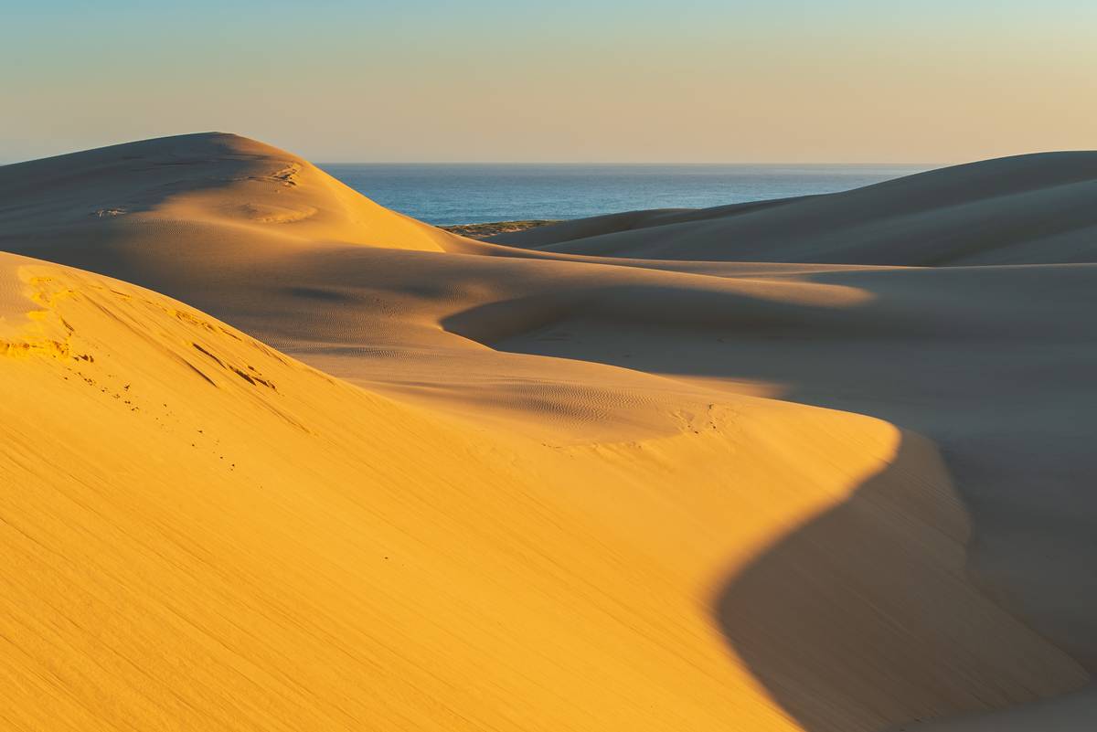 Close-up view of tall golden sand dunes at Stockton Beach with rippled textures across the surface