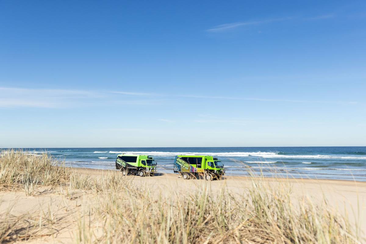 4WD tour vehicles driving along the shoreline at Stockton Beach with the ocean on one side and dunes on the other