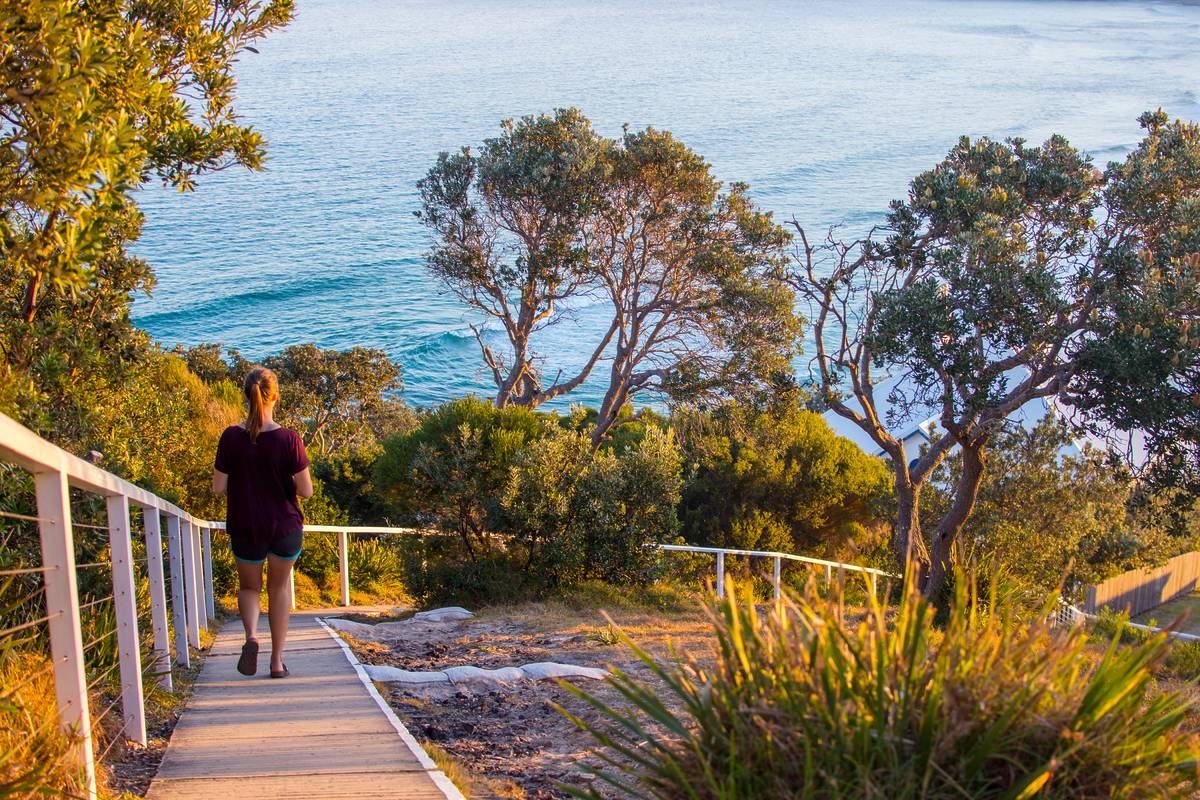 Person walking down a coastal path lined with trees and shrubs, overlooking calm blue ocean at sunset in NSW