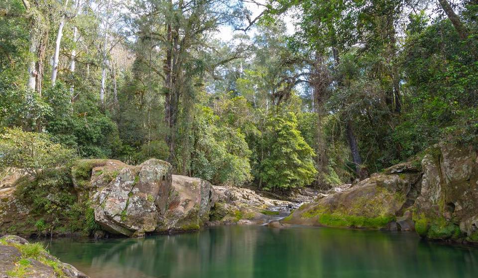 6 Spectacular Wild Swimming Holes Near Sydney You Didn’t Know About