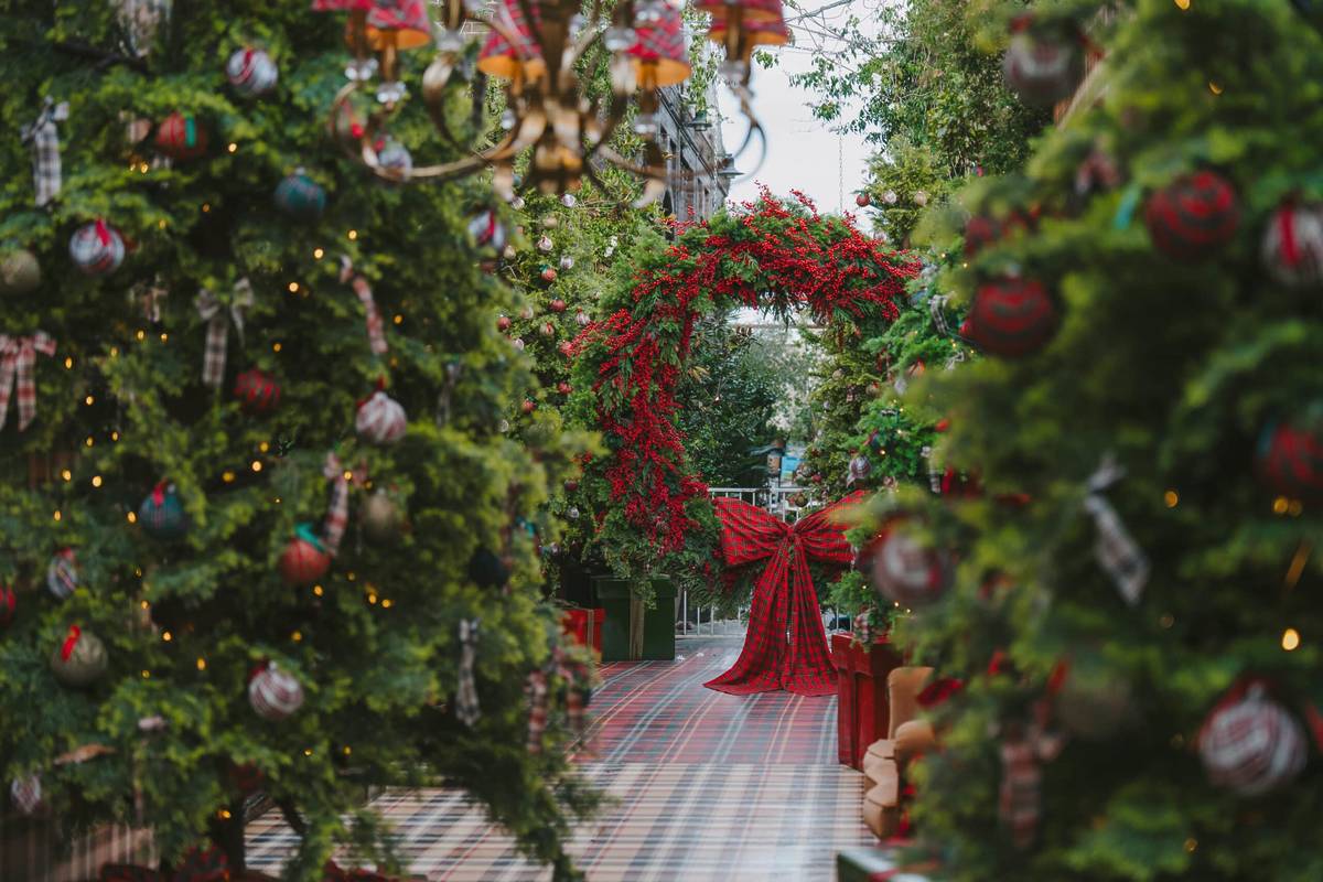 Festive walkway lined with decorated Christmas trees and a red tartan bow arch at The Grounds, Sydney