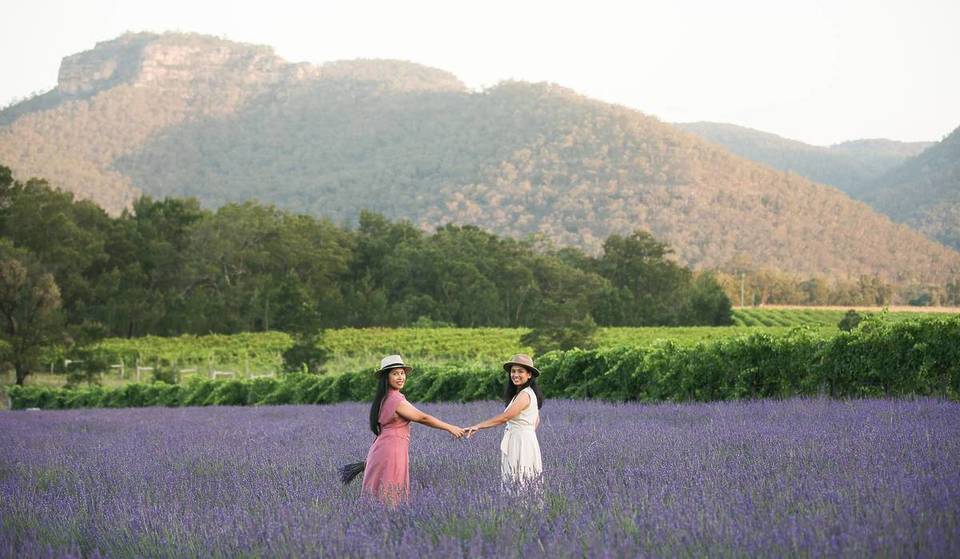This French-Inspired Lavender Farm Just 2 Hours From Sydney Is In Full Bloom – And There’s Beautiful Scenery, Honey Harvesting, And Lavender Gelato