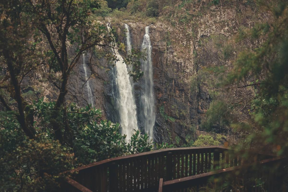 The Tallest Waterfall In NSW Has A Refreshing Rock Pool You Can Swim In ...