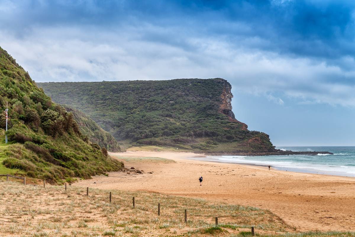 Wide sandy shoreline and headland at Big Marley Beach in Royal National Park