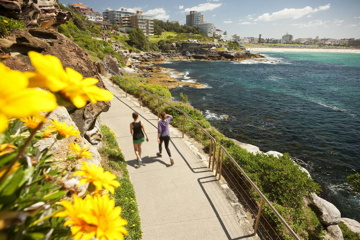 Bondi to Coogee coastal walk with ocean views, cliffside path and spring wildflowers overlooking the Pacific Ocean