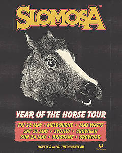 Horse pictured on Slomosa Australian Tour
