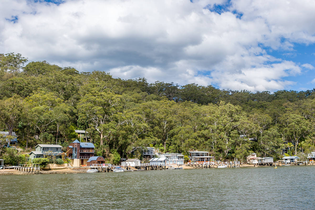 Waterfront homes and dense bushland on Dangar Island in the Hawkesbury River