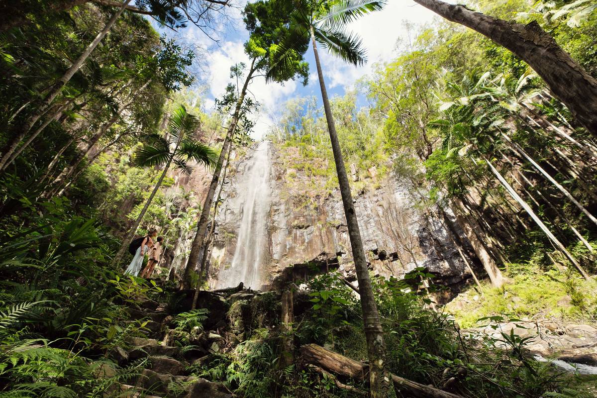 Two people standing at the base of a tall waterfall in a rainforest in NSW