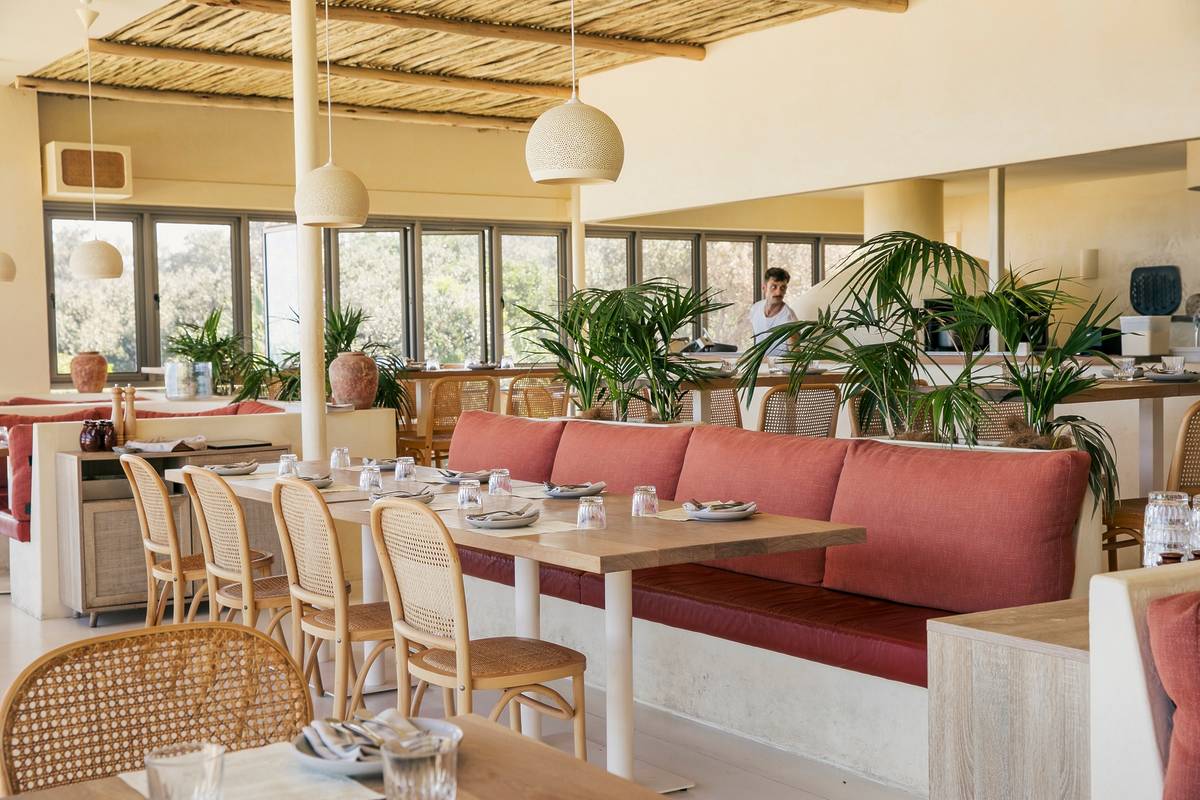 Interior of Capiche restaurant in Ballina with wooden tables, rattan chairs, coral banquette seating and indoor plants