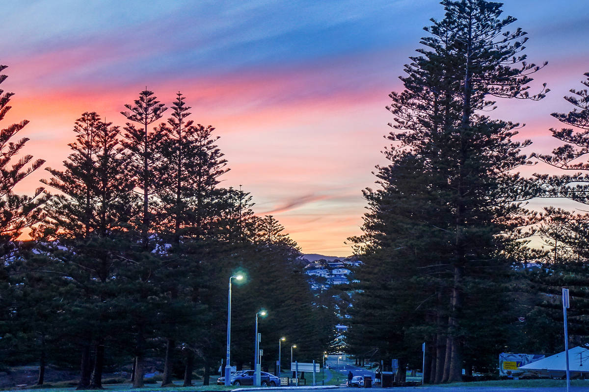 Sunset over a tree-lined street in Kiama on the NSW South Coast