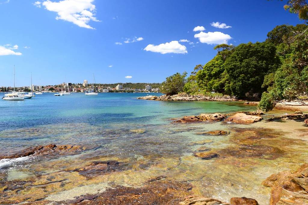 Clear harbour waters and rocky shoreline at Reef Beach in Sydney Harbour National Park