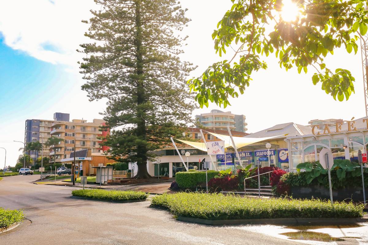 Coastal cafes and palm-lined street in Forster near the beach