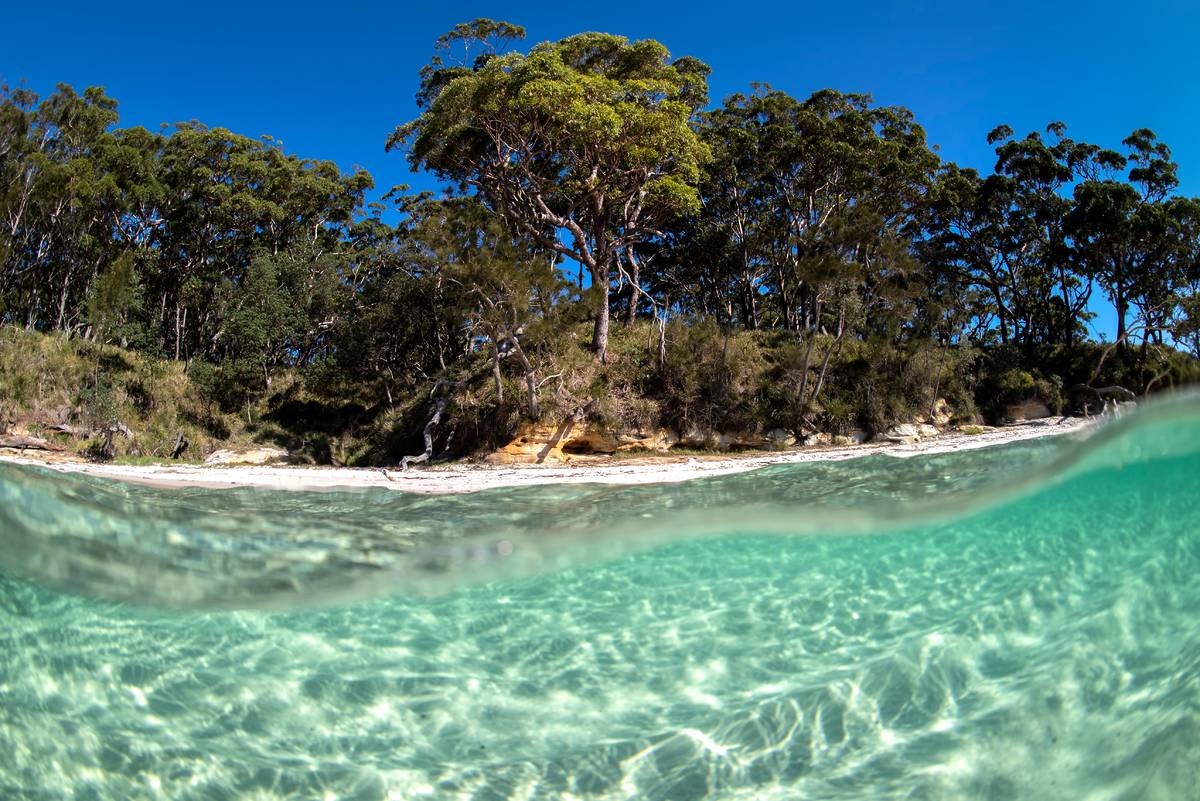 Crystal-clear turquoise water and white-sand shoreline on the White Sands Walk in Jervis Bay