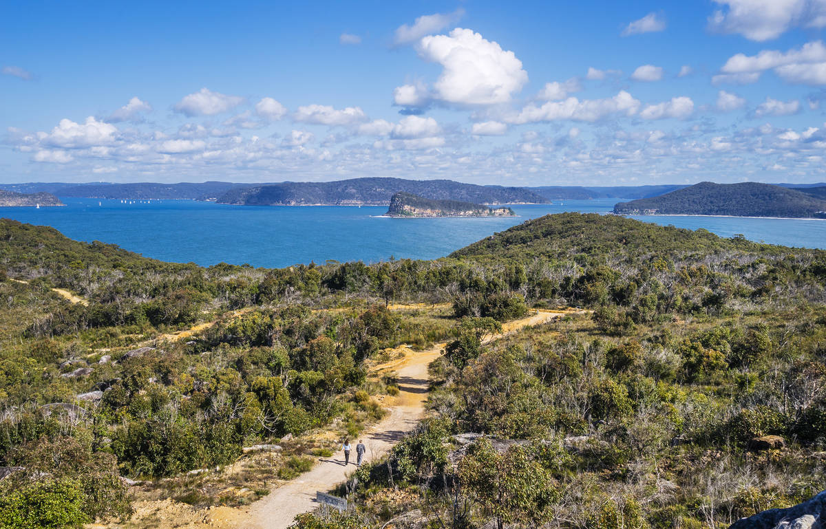 Panoramic coastal view over Bouddi National Park with walking trails overlooking the Central Coast
