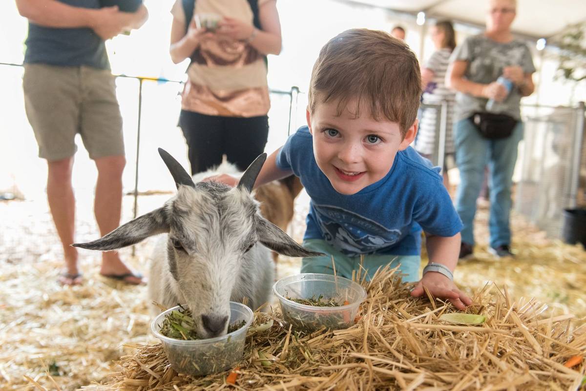 boy with goat at sydney easter show