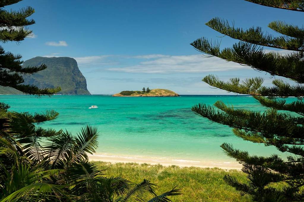 Turquoise lagoon and golden beach on Lord Howe Island, framed by Norfolk pines with Mount Gower in the background