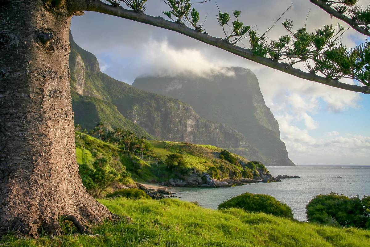 Lush green cliffs and coastal views on Lord Howe Island with dramatic volcanic peaks rising above the ocean