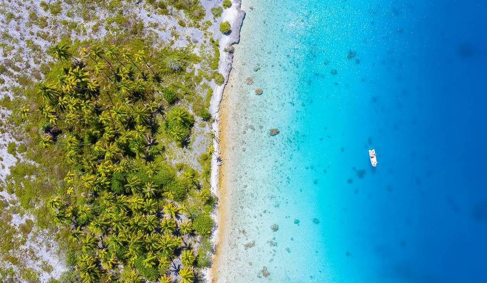 Forget The Stopovers: This Non-Stop Flight From Sydney To Paradise Is Finally Returning After 10 Years