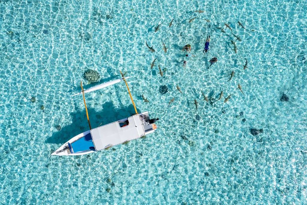 sydney to tahiti