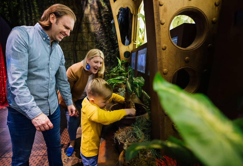 A father and mother watch their young son plant a mandrake at Harry Potter: The Exhibition.