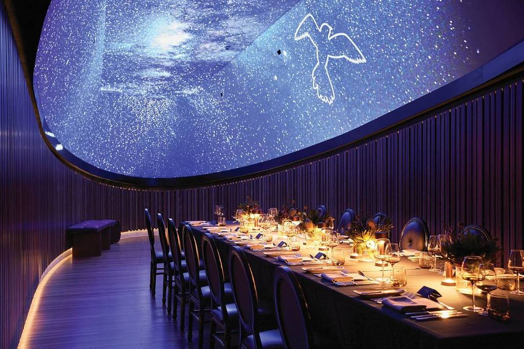 sydney vivid