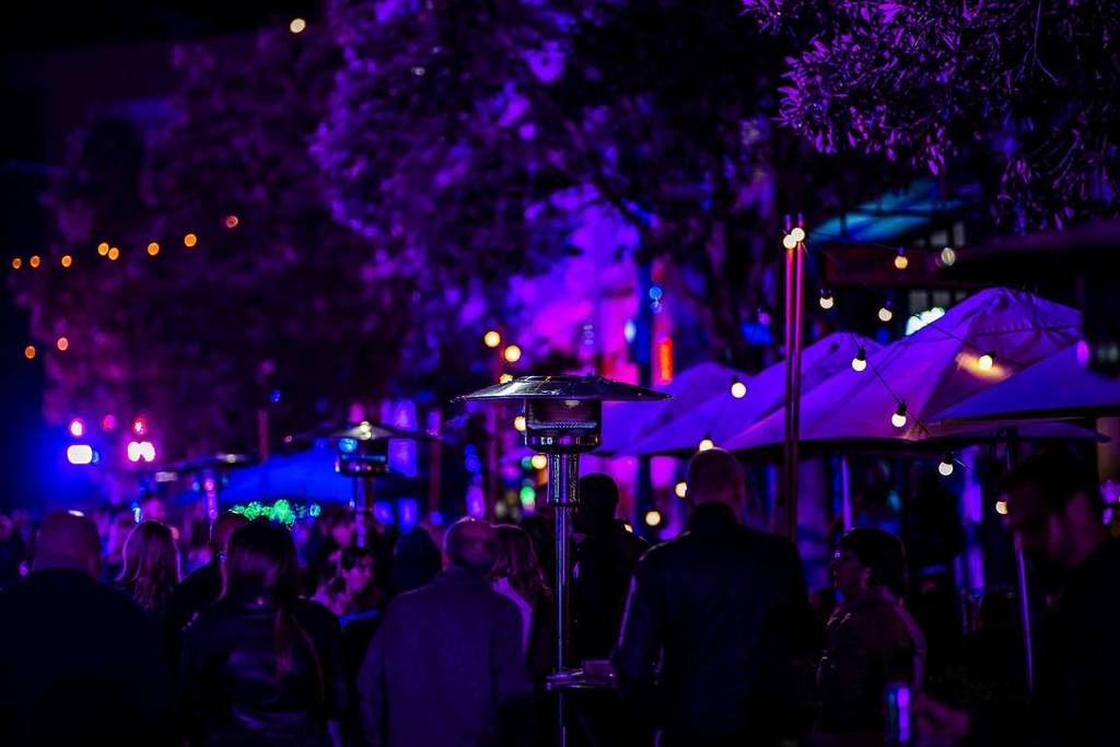 vivid 2026