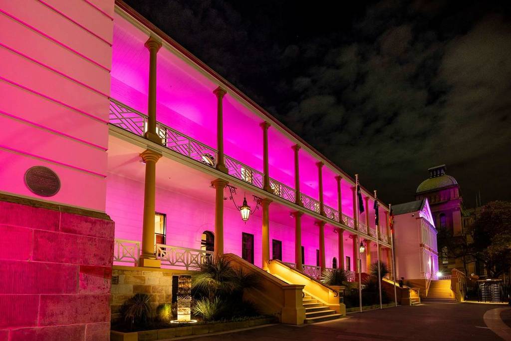 vivid 2026