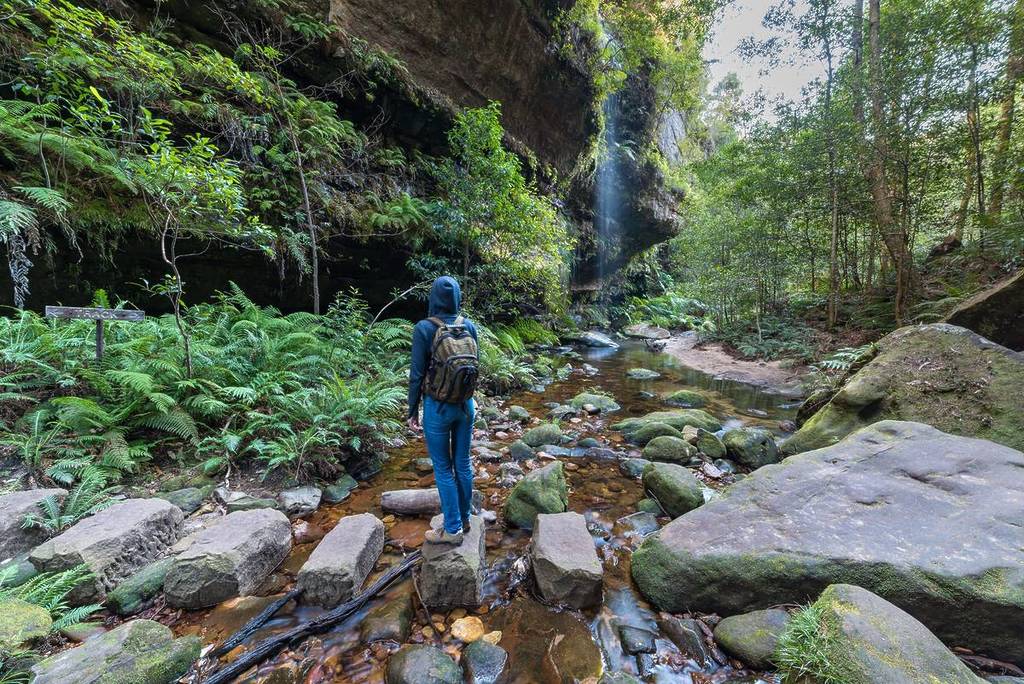 Hiker crossing stepping stones along Greaves Creek on the Grand Canyon Track in the Blue Mountains, surrounded by rainforest and sandstone canyon walls