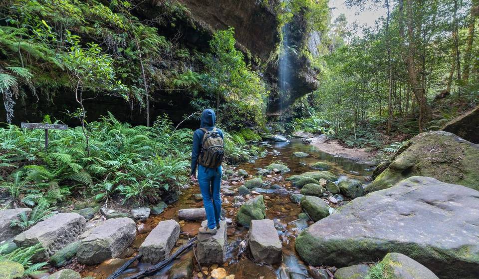 This 6km Trail Near Sydney Is Touted As The Best Hike In NSW – With Waterfalls, Rainforests And Incredible Views