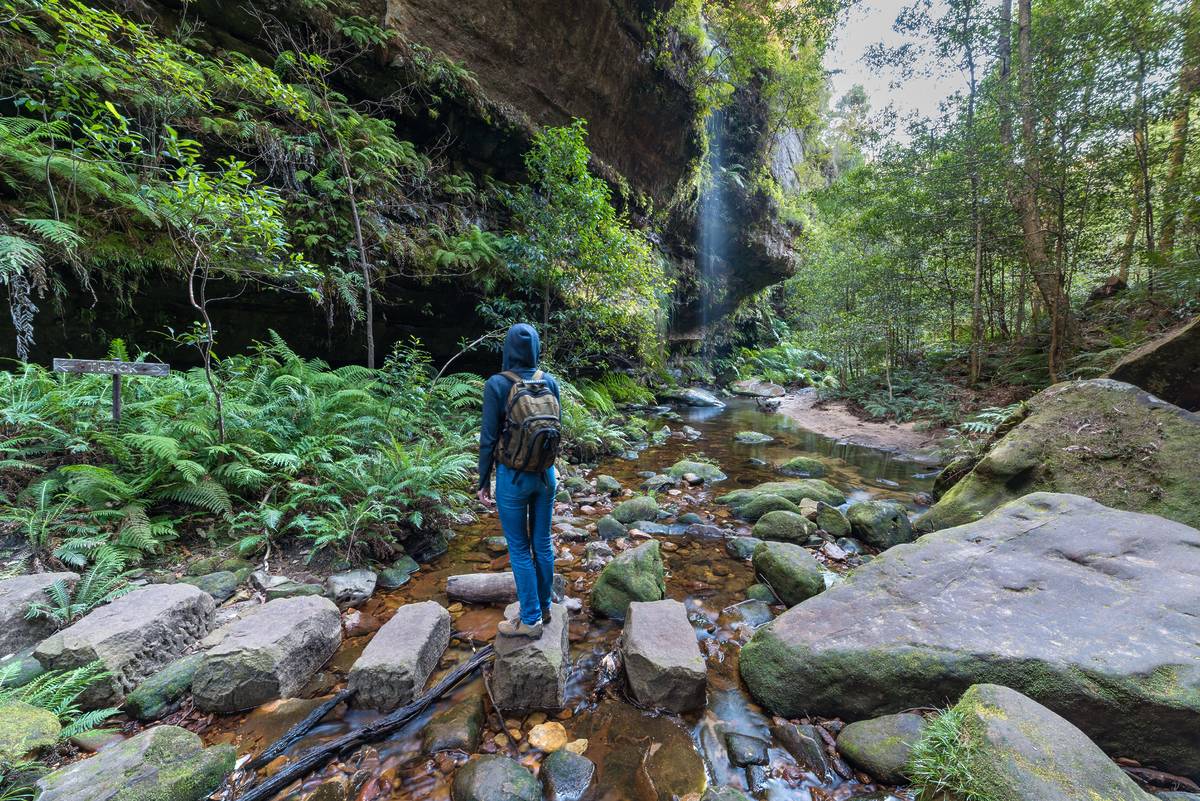 Hiker crossing stepping stones along Greaves Creek on the Grand Canyon Track in the Blue Mountains, surrounded by rainforest and sandstone canyon walls