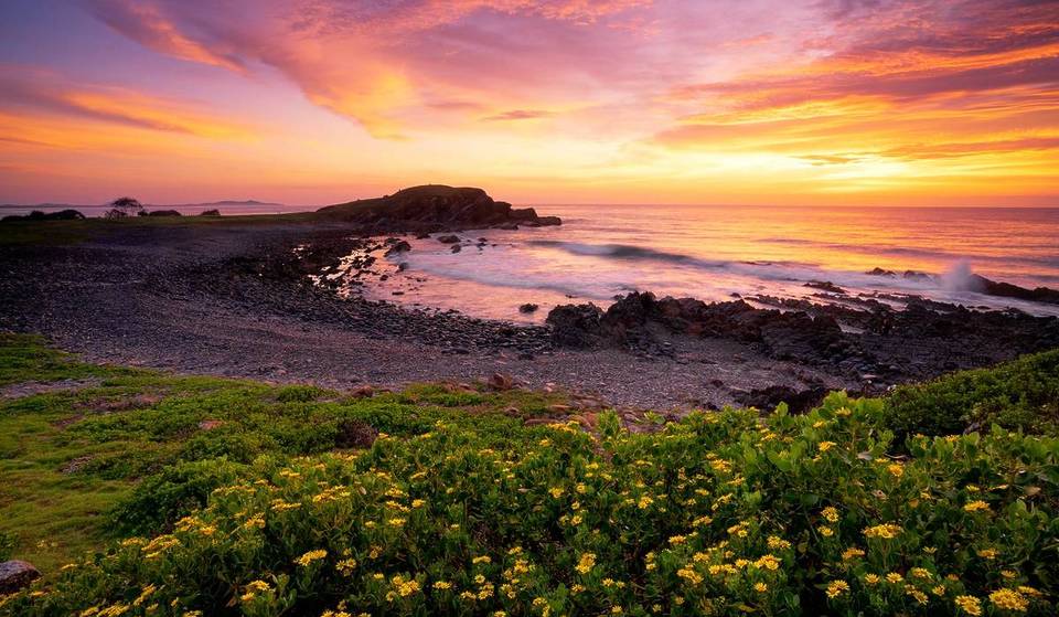 Time Magazine Names These 2 NSW Destinations Among The ‘World’s Greatest Places’ In 2026, Including The Largest Fish Market In The Southern Hemisphere &amp; A Classic Roadside Motel With The Glow Of ’70s Surf Culture
