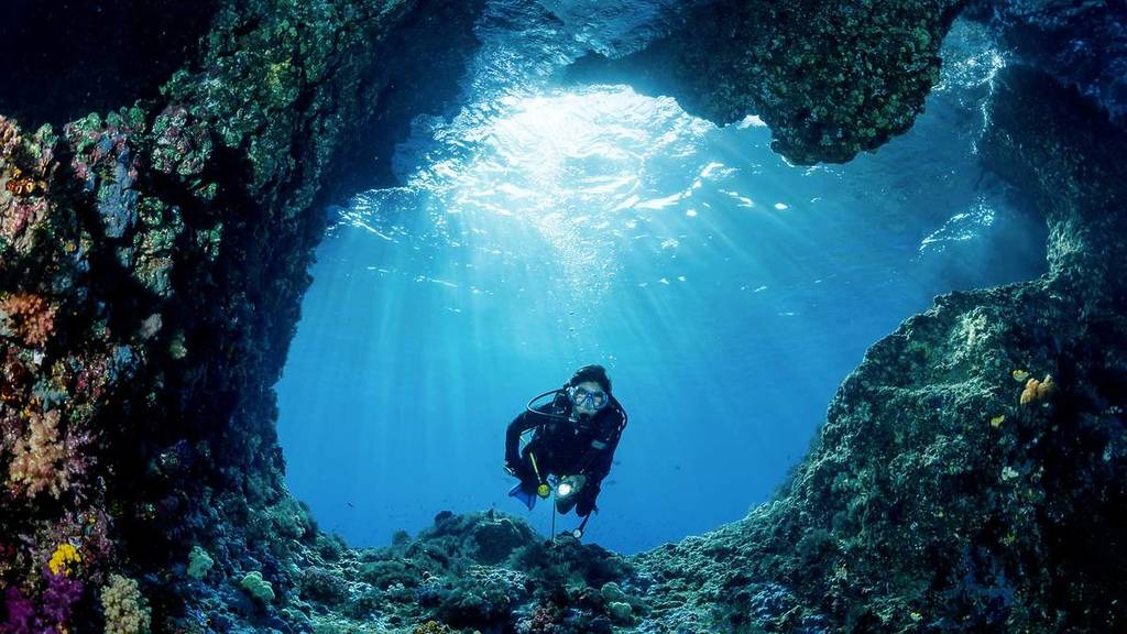 fish rock cave dive
