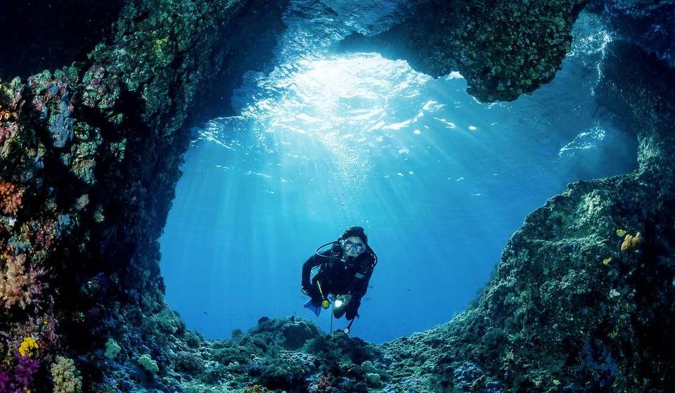 Australia’s Only True Ocean Cave Is A 125-Metre Tunnel Hidden 5 Hours From Sydney — Where You Can Dive With Rare Sharks In NSW