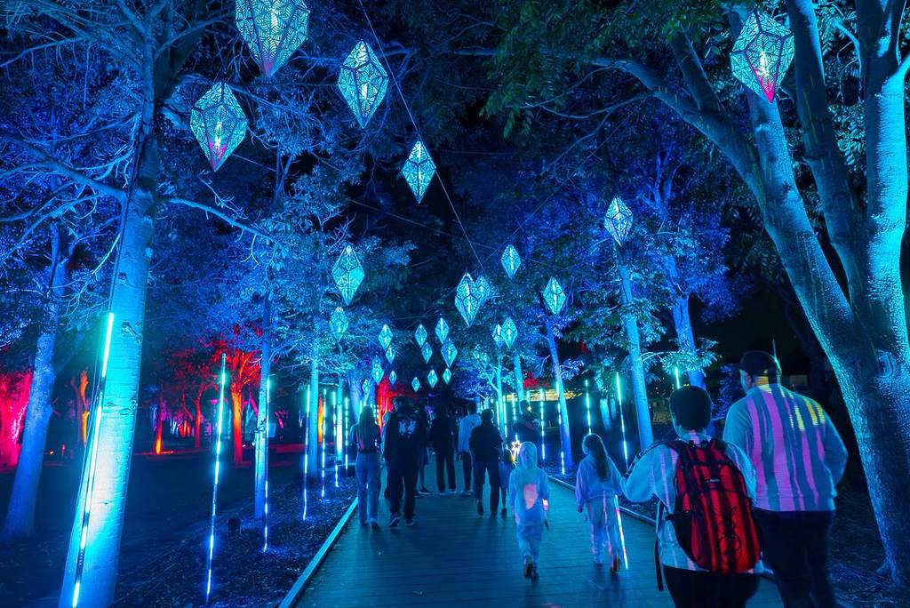 Visitors walking along a tree-lined path lit with hanging lanterns and glowing light installations at night at the Enchanted Forest experience in Shellharbour, NSW