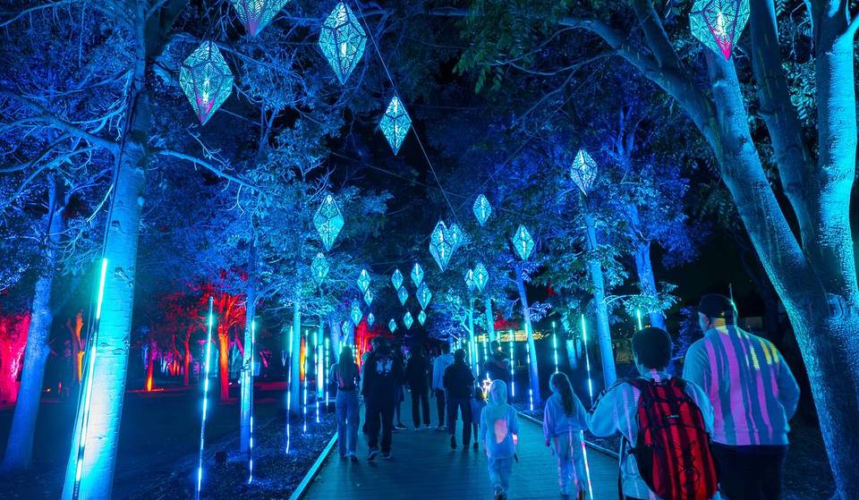 This Light Show Just 2 Hours From Sydney Leads Through A Glowing Forest Trail