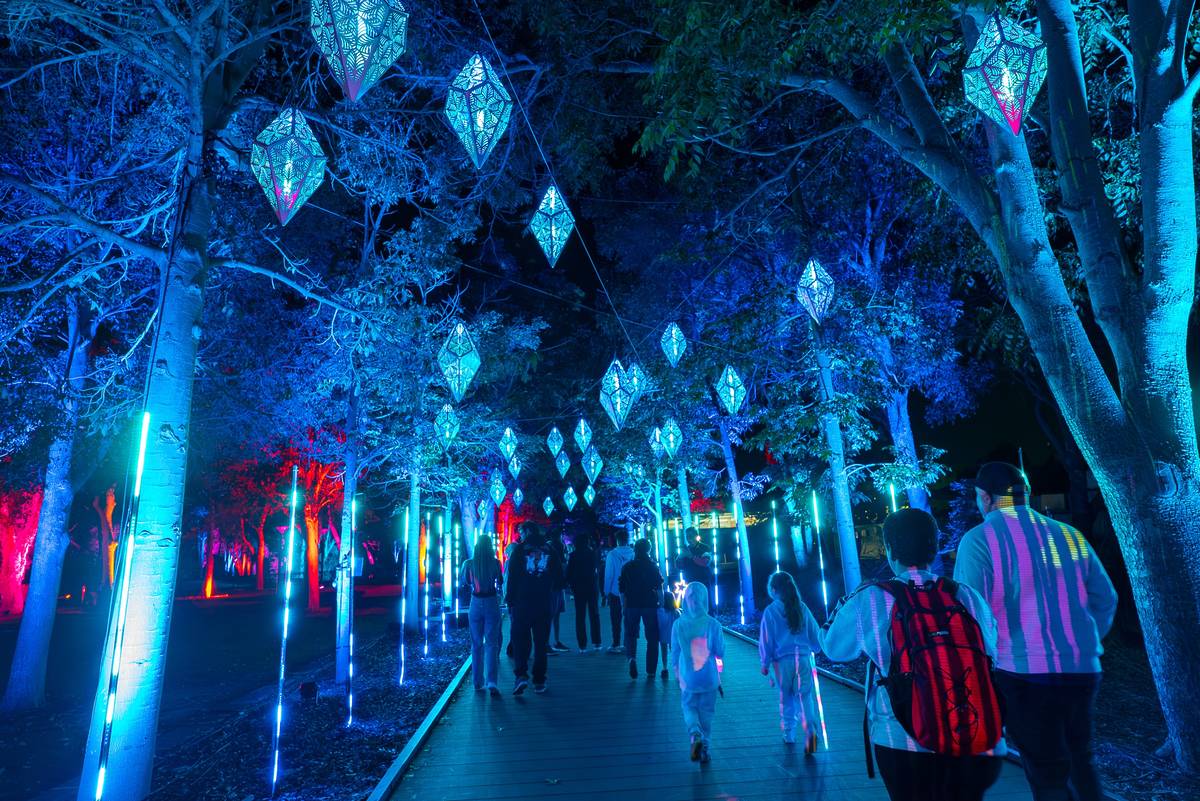 Bloom Event This Light Show Just 2 Hours From Sydney Leads Through A Glowing Forest ...