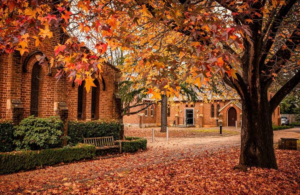 Red-brick church framed by vibrant autumn leaves in Bowral, with fallen foliage covering the ground